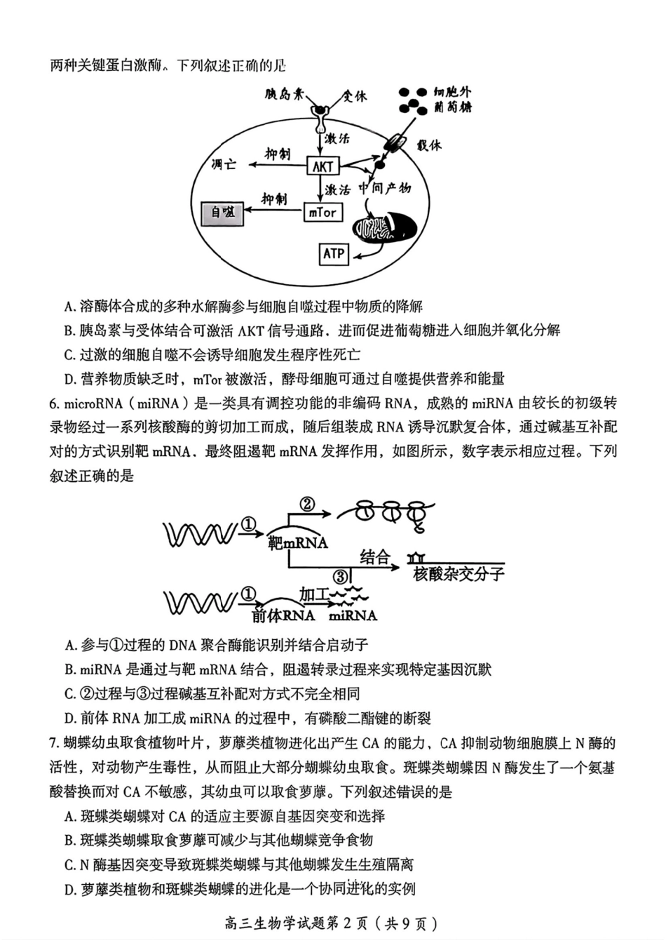 2026届湖南省郴州市高三上学期第一次教学质量监测生物试题（含答案）.pdf_第3页