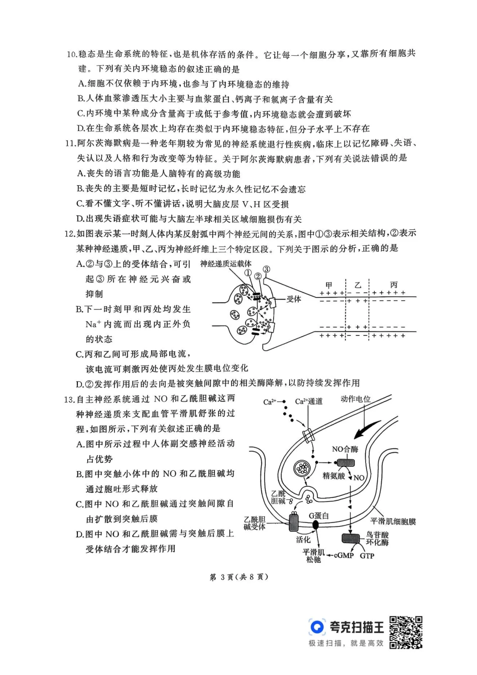 2026届河北地区2025-2026学年高三上学期11月期中考试生物试题（含答案）.pdf_第3页
