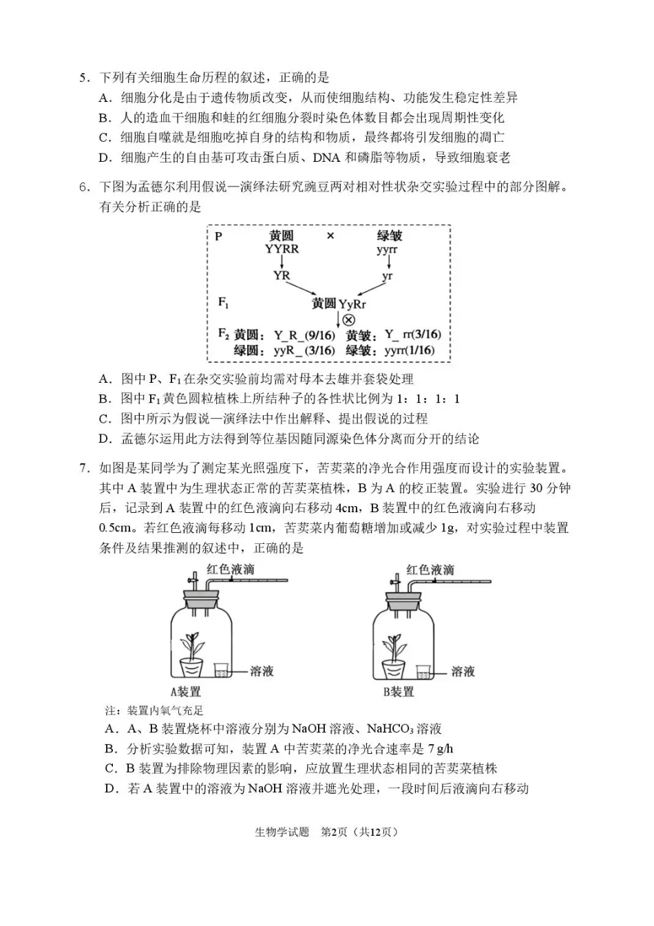 2026届哈尔滨第三中学高三上学期期中考试生物（含答案）.pdf_第2页