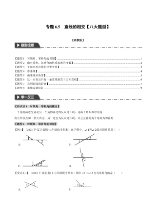初中七年级数学上册-专题6.5 直线的相交（八大题型）（举一反三）（浙教版）（无答案）.docx