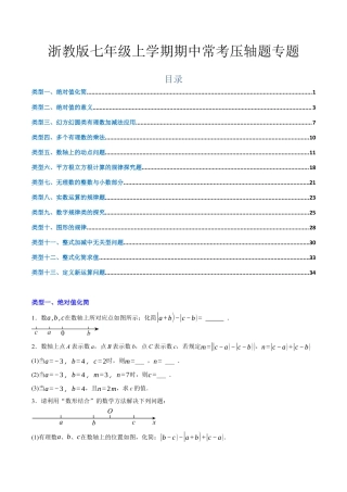 浙教版数学七年级期中压轴题（原题版）.docx