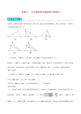 初中数学八年级上册2026年期末复习系列-专题1.1 与三角形有关线段的几何综合（压轴题专项讲练）（解析版）.docx