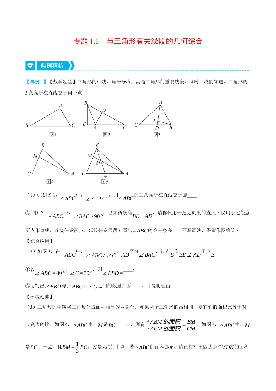 初中数学八年级上册2026年期末复习系列-专题1.1 与三角形有关线段的几何综合（压轴题专项讲练）（无答案）.docx_第1页