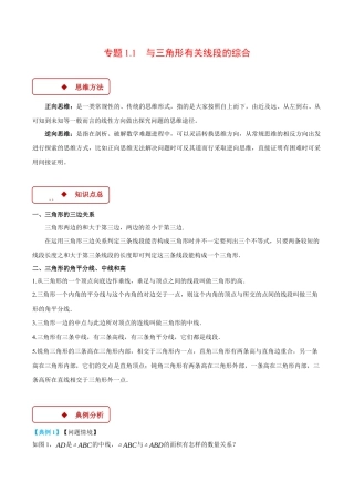 初中数学八年级上册2026年期末复习系列-专题1.1 与三角形有关线段的综合（压轴题专项讲练）（解析版）.docx