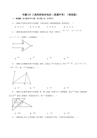 初中数学八年级上册2026年期末复习系列-专题1.6 三角形的初步知识（直通中考）（培优练）-.docx