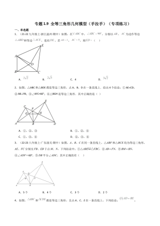 初中数学八年级上册2026年期末复习系列-专题1.9 全等三角形几何模型（手拉手）（专项练习）-.docx