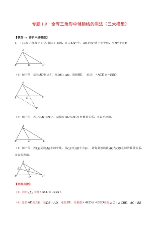 初中数学八年级上册2026年期末复习系列-专题1.9 全等三角形中辅助线的添法（三大模型）（压轴题专项讲练）（解析版）.docx