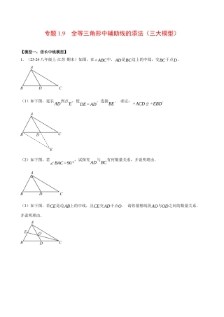 初中数学八年级上册2026年期末复习系列-专题1.9 全等三角形中辅助线的添法（三大模型）（压轴题专项讲练）（无答案）.docx