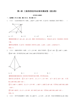 初中数学八年级上册2026年期末复习系列-专题1.19 三角形的初步知识章末测试卷（拔尖卷）（解析版）.docx