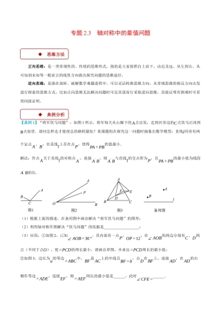 初中数学八年级上册2026年期末复习系列-专题2.3 轴对称中的最值问题（压轴题专项讲练）（无答案）.docx