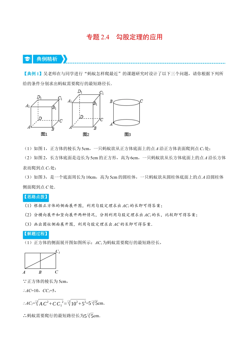 初中数学八年级上册2026年期末复习系列-专题2.4 勾股定理的应用（压轴题专项讲练）（解析版）.docx_第1页