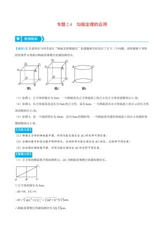 初中数学八年级上册2026年期末复习系列-专题2.4 勾股定理的应用（压轴题专项讲练）（解析版）.docx