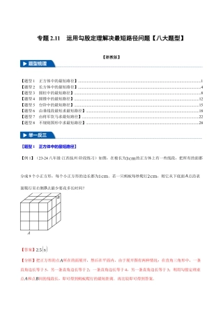 初中数学八年级上册2026年期末复习系列-专题2.11 运用勾股定理解决最短路径问题（八大题型）（举一反三）（解析版）.docx
