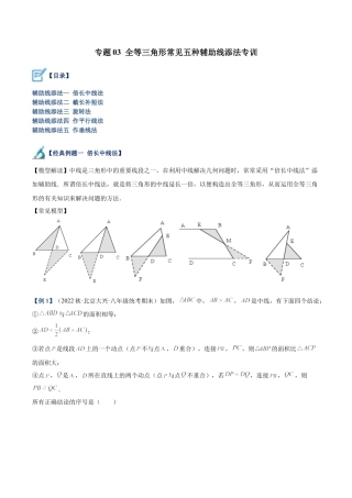 初中数学八年级上册2026年期末复习系列-专题03 全等三角形常见五种辅助线添法专训（解析版）.docx