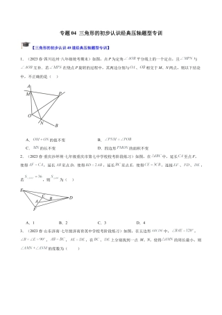 初中数学八年级上册2026年期末复习系列-专题04 三角形的初步认识经典压轴题型专训（无答案）.docx