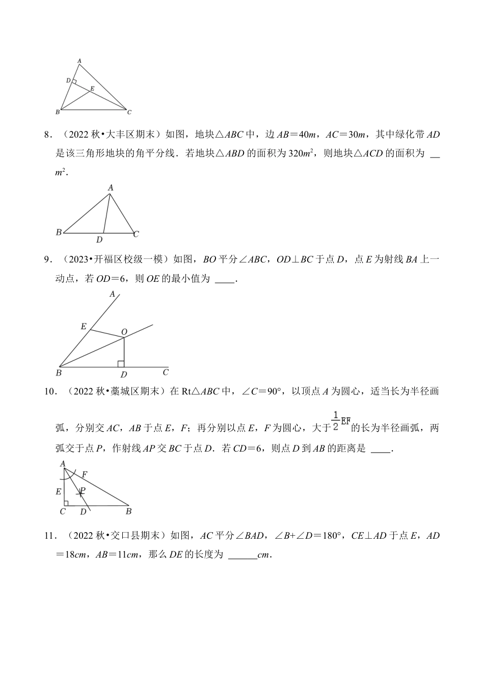 初中数学八年级上册2026年期末复习系列-专题06 角平分线的性质与判定（五大类型）（题型专练）（无答案）.docx_第3页