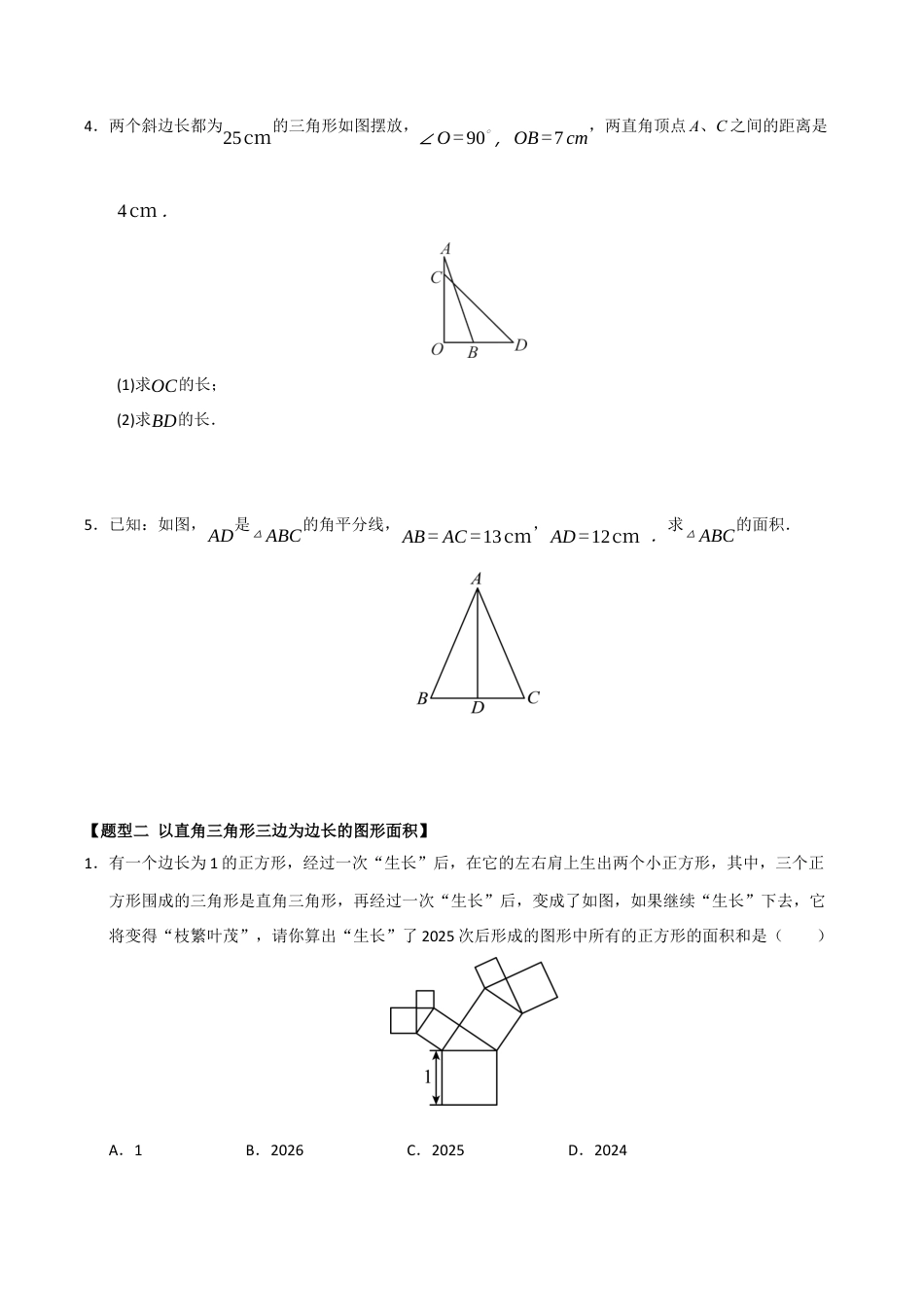 初中数学八年级上册2026年期末复习系列-专题06 探索勾股定理（十一大题型）（题型训练+易错精练）（无答案）.docx_第2页