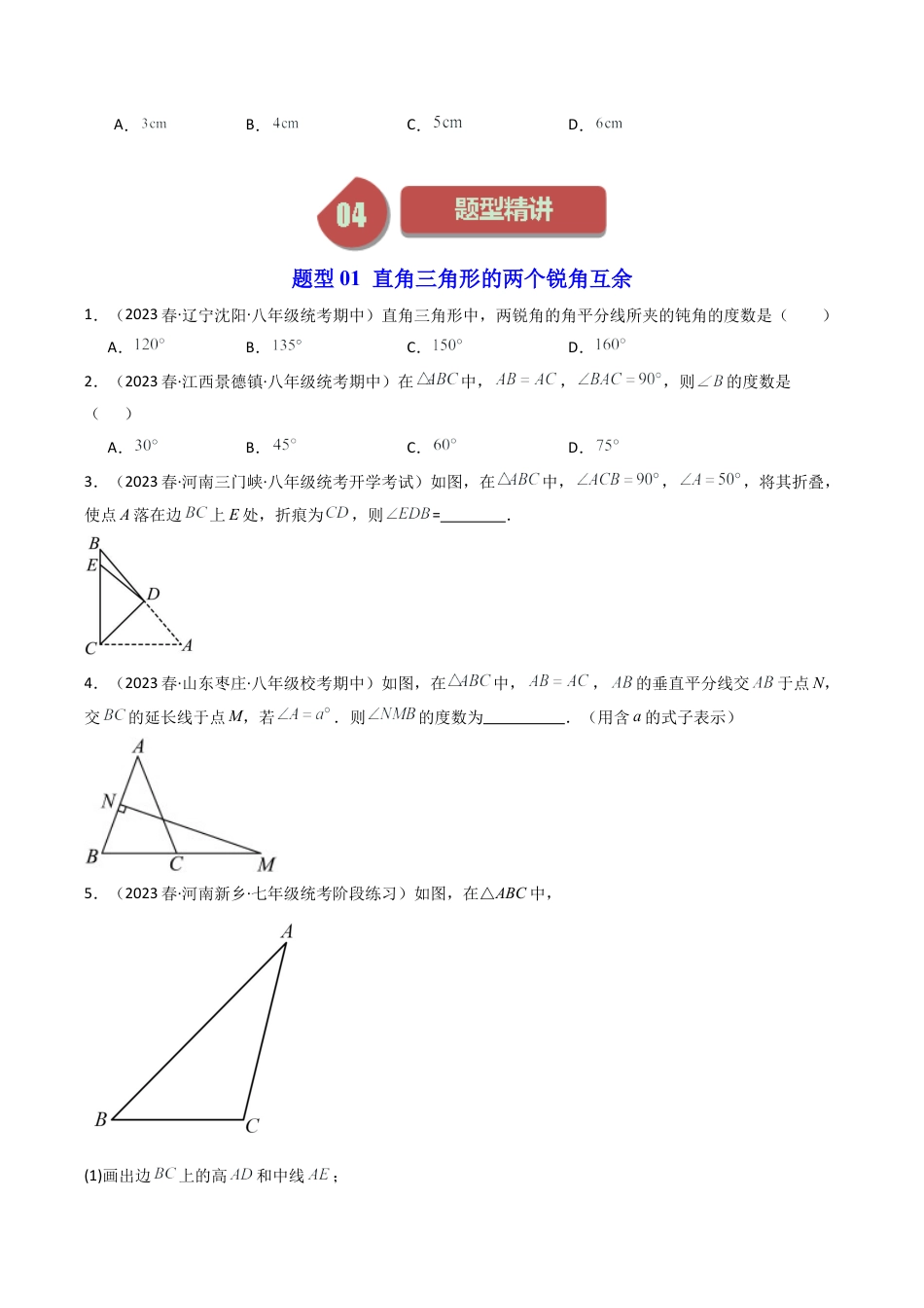 浙教版数学2026年八年级上册-第06讲 直角三角形（3类题型）（无答案）.docx_第3页