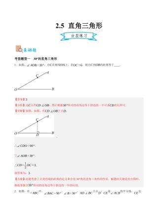 浙教版数学八年级上册-2.5 直角三角形（解析版）.docx