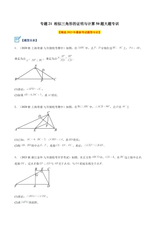 初中数学九上重点难点提升-专题21 相似三角形的证明与计算50道大题专训（学生版）.docx