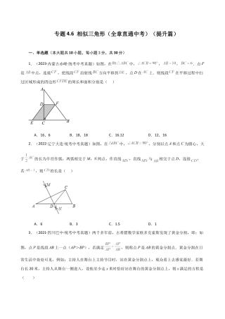 初中数学九上-专题练习-专题4.6 相似三角形（全章直通中考）（提升练）-（浙教版）.docx