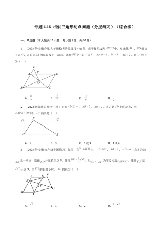 初中数学九上-专题练习-专题4.16 相似三角形动点问题（分层练习）（综合练）-（浙教版）.docx