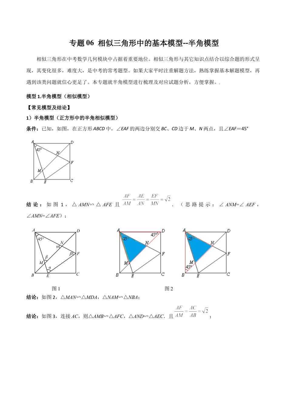 浙教版九年级数学上册-几何模型专训-专题06 相似三角形中的基本模型-半角模型（教师版）.docx_第1页