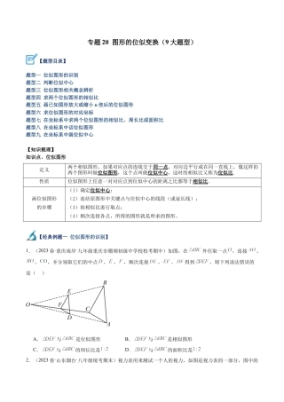 初中数学九上重点难点提升-专题20 图形的位似变换（9大题型）（学生版）.docx