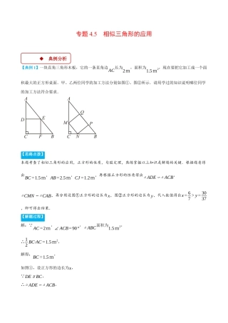 2026年初中数学九年级上册-压轴题-专题4.5 相似三角形的应用（压轴题专项讲练）（浙教版）（学生版）.docx