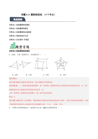 2026年九年级数学上册-题型专练-专题4.5 图形的位似（5个考点）（题型专练+易错精练）（教师版）.docx