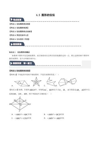 2026年九年级数学上册-题型专练-4.5 图形的位似（知识解读+达标检测）（学生版）.docx