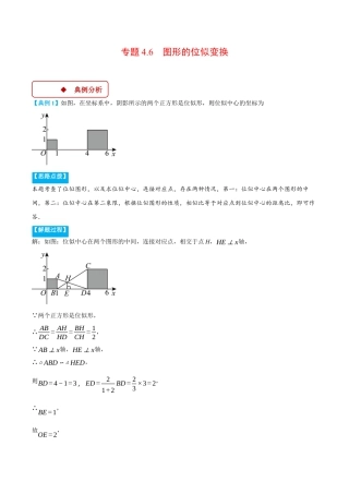 2026年初中数学九年级上册-压轴题-专题4.6 图形的位似变换（压轴题专项讲练）（浙教版）（学生版）.docx