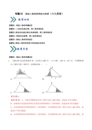 九年级数学上册-题型专练-专题02  相似三角形的判定与性质（六大类型）（题型专练）（教师版）.docx