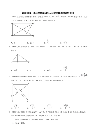 数学九年级上册-知识点-专题训练：手拉手旋转相似＋射影定理相似模型专训（学生版）.docx
