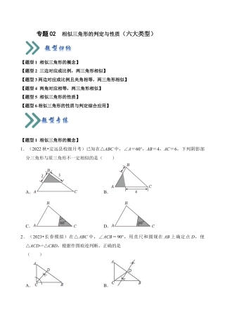九年级数学上册-题型专练-专题02  相似三角形的判定与性质（六大类型）（题型专练）（学生版）.docx