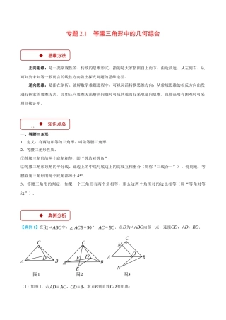 初中数学八年级上册2026年期末复习系列-专题2.1 等腰三角形中的几何综合（压轴题专项讲练）（解析版）.docx