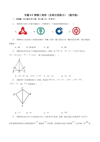 初中数学八年级上册2026年期末复习系列-专题2.3 特殊三角形（全章分层练习）（提升练）-.docx