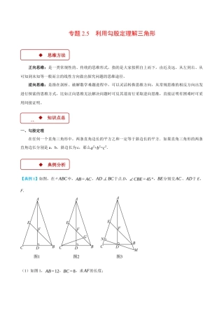 初中数学八年级上册2026年期末复习系列-专题2.5 利用勾股定理解三角形（压轴题专项讲练）（解析版）.docx