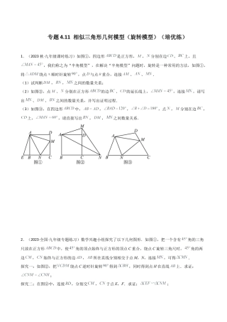 初中数学九上-专题练习-专题4.11 相似三角形几何模型（旋转模型）（培优练）-（浙教版）.docx