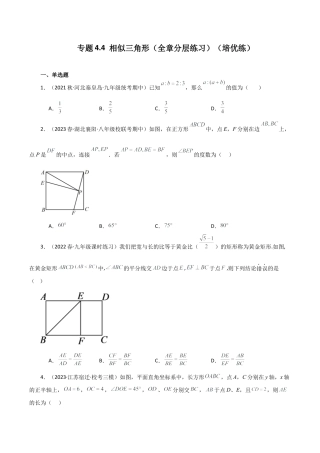 初中数学九上-专题练习-专题4.4 相似三角形（全章分层练习）（培优练）-（浙教版）.docx