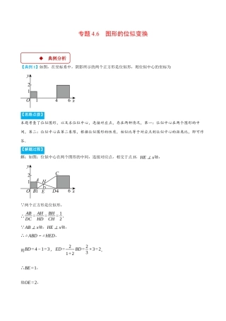 2026年初中数学九年级上册-压轴题-专题4.6 图形的位似变换（压轴题专项讲练）（浙教版）（教师版）.docx