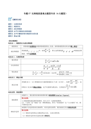 初中数学九上重点难点提升-专题17 比例线段重难点题型专训（6大题型）（学生版）.docx