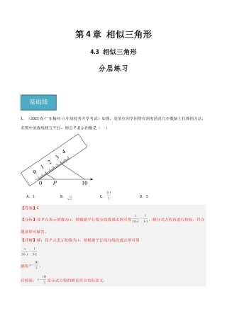 九年级数学上册（浙教版）-课时练习-4.3 相似三角形（分层练习）（解析版）.docx