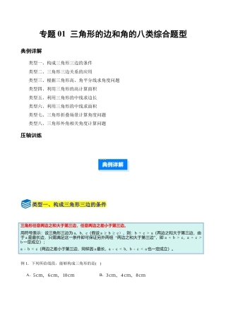 初中数学八年级上册2026年期末复习系列-专题01 三角形的边和角（压轴题专项训练）（解析版）.docx