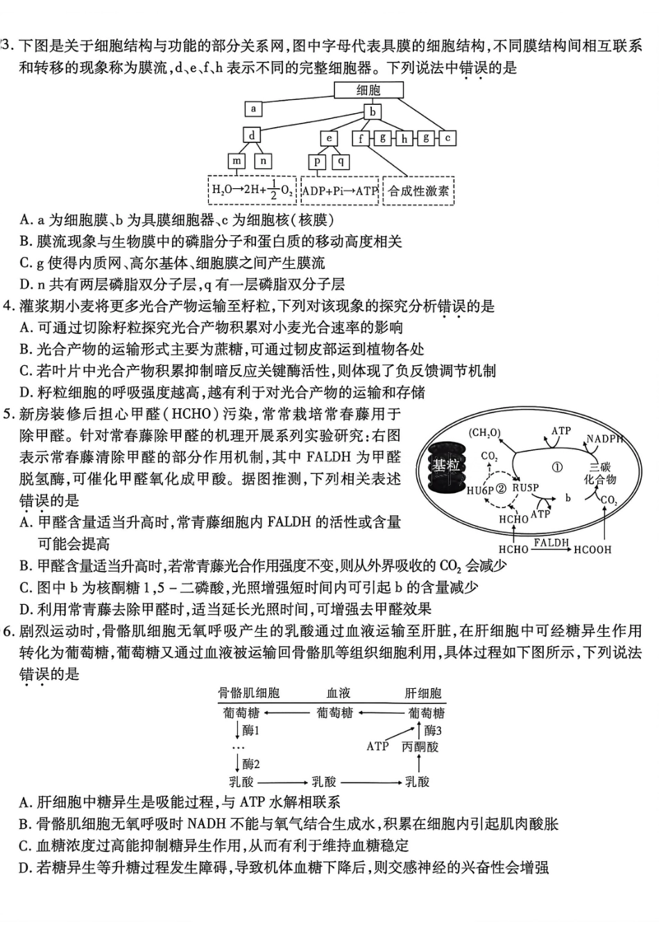 重庆市南开中学2026届高三第五次质量检测 生物试卷（含答案）.pdf_第2页