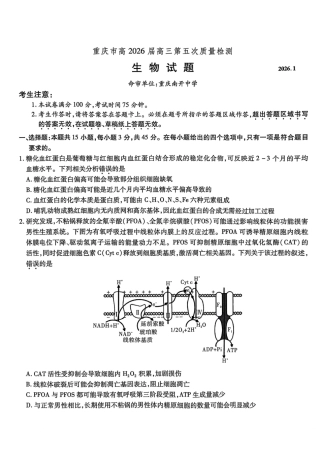 重庆市南开中学2026届高三第五次质量检测 生物试卷（含答案）.pdf