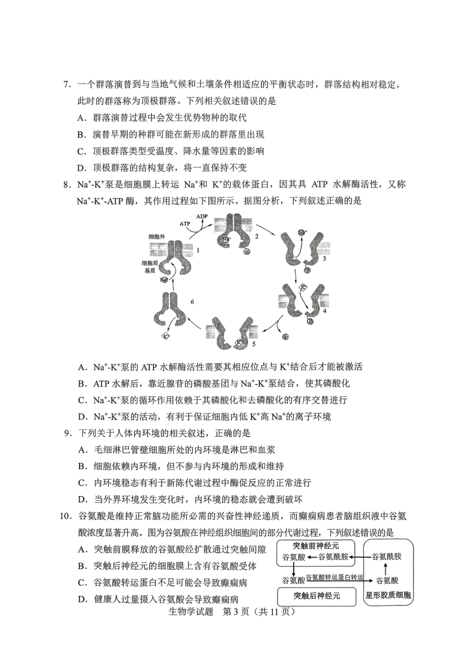 吉林省长春市2026届高三年级质量检测（一）生物试卷（长春一模）（含答案）.pdf_第3页