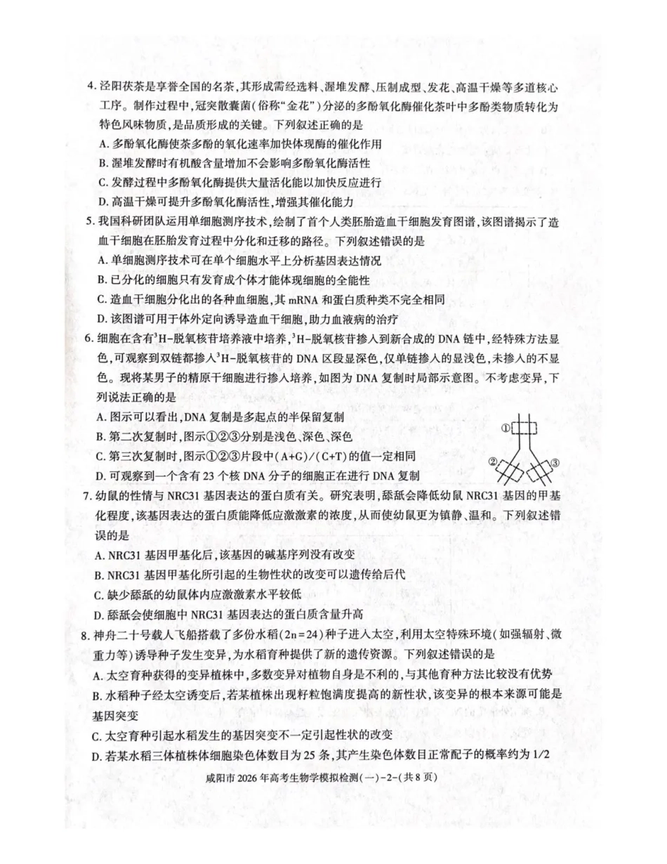 陕西省咸阳市2026年高考模拟检测（一）生物试卷（含答案）.pdf_第2页