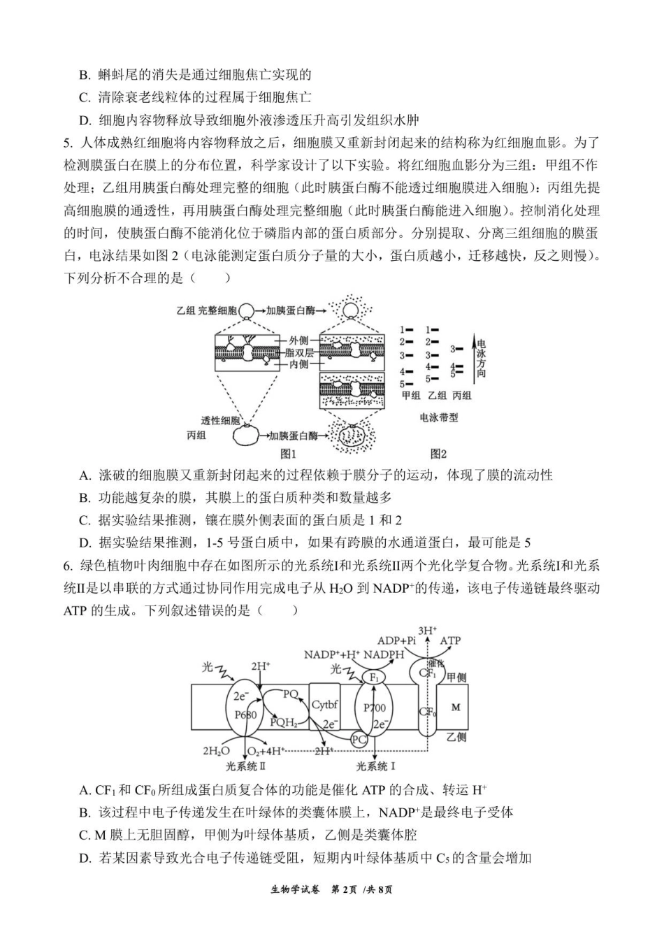 云南省曲靖市第一中学2025-2026学年高三上学期教学质量检测四生物学试题（含答案）.pdf_第2页