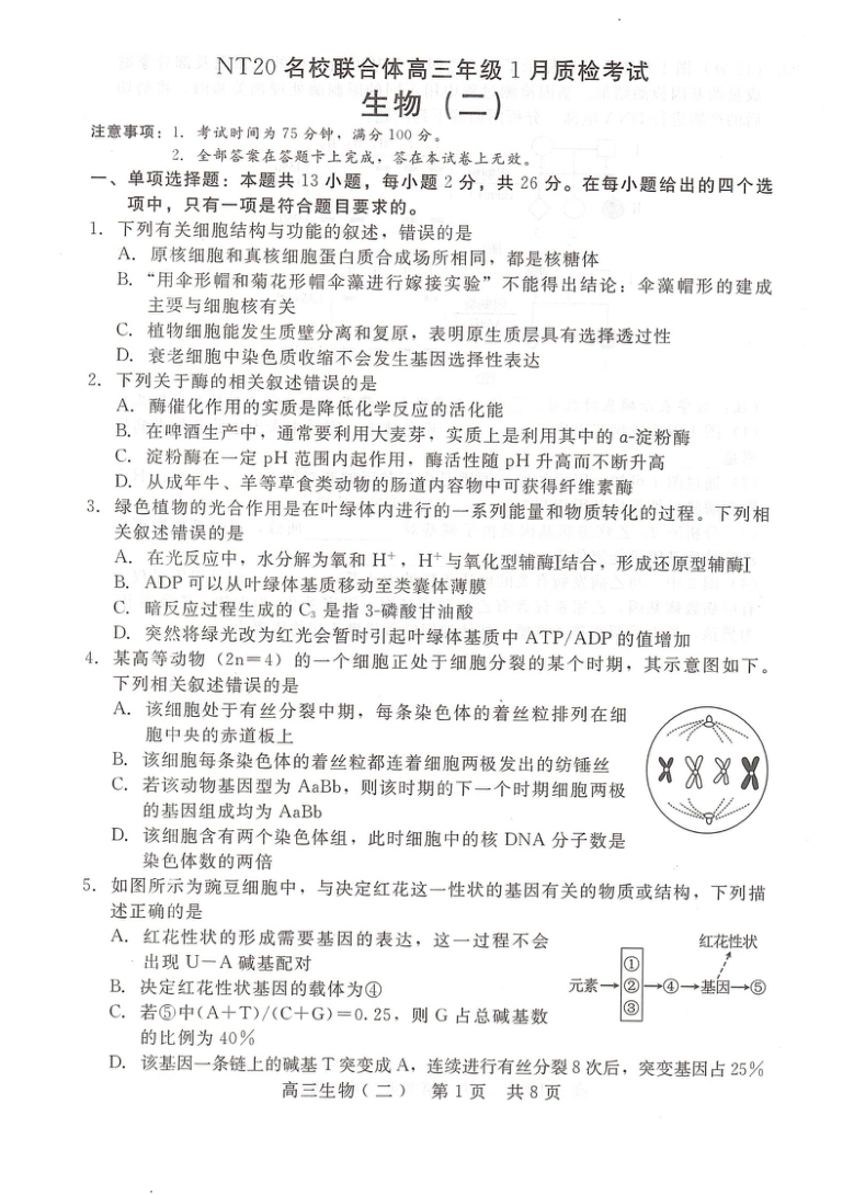 河北省NT20名校联合体高三年级1月质检考试生物试题（含答案）.pdf_第1页